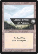 Plains (A) [Foreign Black Border] - The Mythic Store | 24h Order Processing