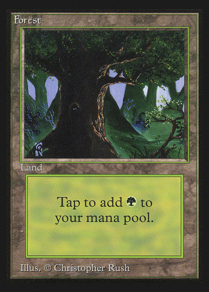 Forest (Eyes in Tree) [International Collectors' Edition] - The Mythic Store | 24h Order Processing