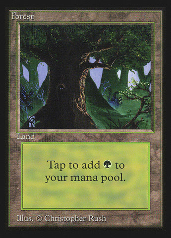 Forest (Eyes in Tree) [International Collectors' Edition] - The Mythic Store | 24h Order Processing