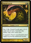 Putrid Leech [Duel Decks: Izzet vs. Golgari] - The Mythic Store | 24h Order Processing