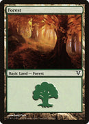 Forest (243) [Avacyn Restored] - The Mythic Store | 24h Order Processing