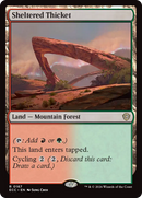 Sheltered Thicket [Lorwyn Eclipsed Commander] - The Mythic Store | 24h Order Processing
