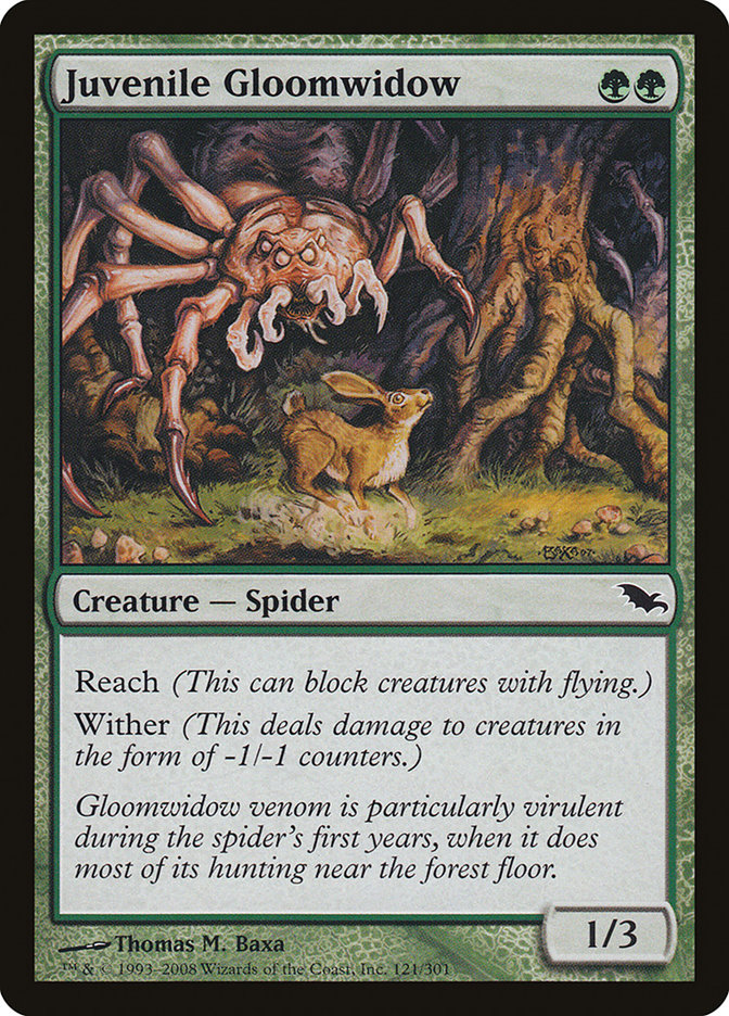 Juvenile Gloomwidow [Shadowmoor] - The Mythic Store | 24h Order Processing