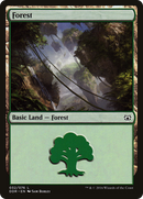 Forest (32) [Duel Decks: Nissa vs. Ob Nixilis] - The Mythic Store | 24h Order Processing