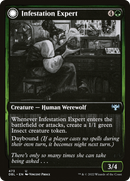 Infestation Expert // Infested Werewolf [Innistrad: Double Feature] - The Mythic Store | 24h Order Processing