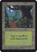 Forest (295) [Alpha Edition] - The Mythic Store | 24h Order Processing