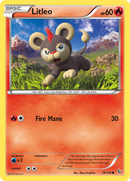 Litleo (19/106) [XY: Flashfire] - The Mythic Store | 24h Order Processing