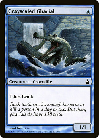 Grayscaled Gharial [Ravnica: City of Guilds] - The Mythic Store | 24h Order Processing