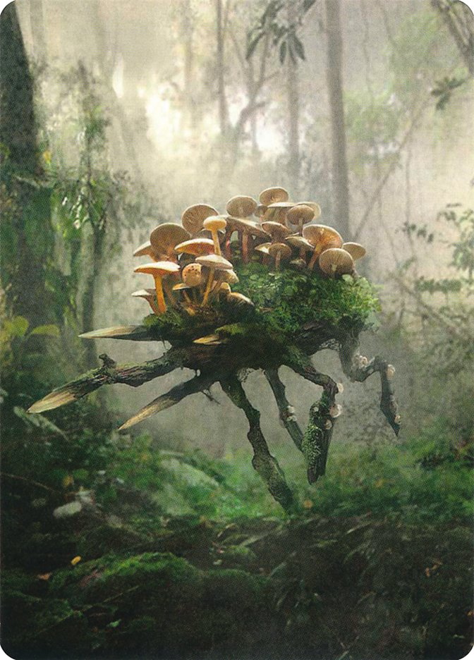 Saproling // Saproling Double-Sided Token [Unstable Tokens] - The Mythic Store | 24h Order Processing