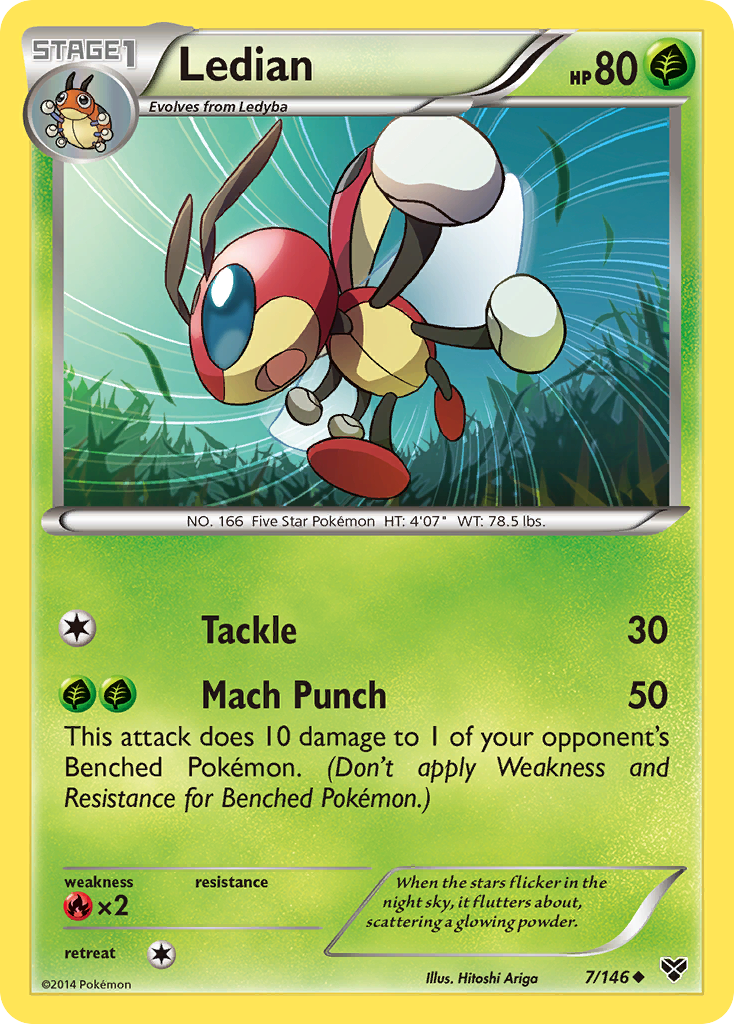 Ledian (7/146) [XY: Base Set] - The Mythic Store | 24h Order Processing
