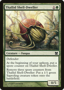 Thallid Shell-Dweller [Modern Masters] - The Mythic Store | 24h Order Processing