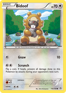 Bidoof (116/160) [XY: Primal Clash] - The Mythic Store | 24h Order Processing