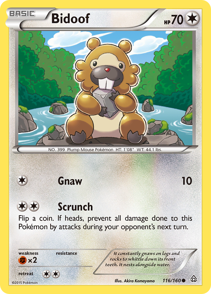 Bidoof (116/160) [XY: Primal Clash] - The Mythic Store | 24h Order Processing