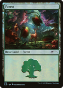 Forest (Predatory) (578) [Secret Lair Drop Promos] - The Mythic Store | 24h Order Processing