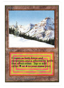 Taiga [Unlimited Edition] - Scan 10065 - The Mythic Store | 24h Order Processing