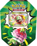 Pokemon Ascended Heroes - Tins