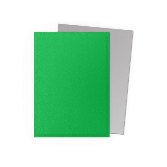 Dragon Shield Matte Dual Sleeve - Apple Green and Silver - The Mythic Store | 24h Order Processing
