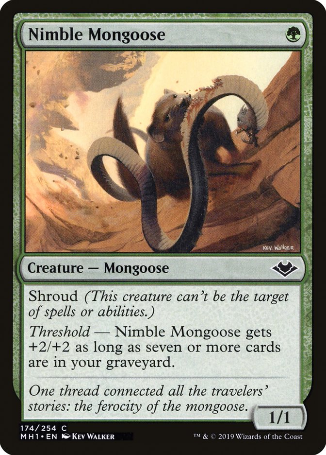 Nimble Mongoose [Modern Horizons] - The Mythic Store | 24h Order Processing