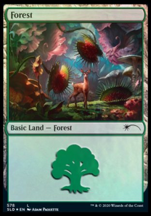 Forest (Predatory) (578) [Secret Lair Drop Promos] - The Mythic Store | 24h Order Processing