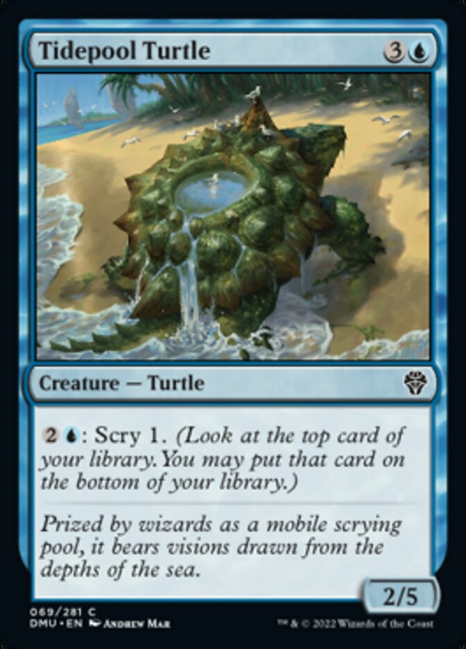 Tidepool Turtle [Dominaria United] - The Mythic Store | 24h Order Processing