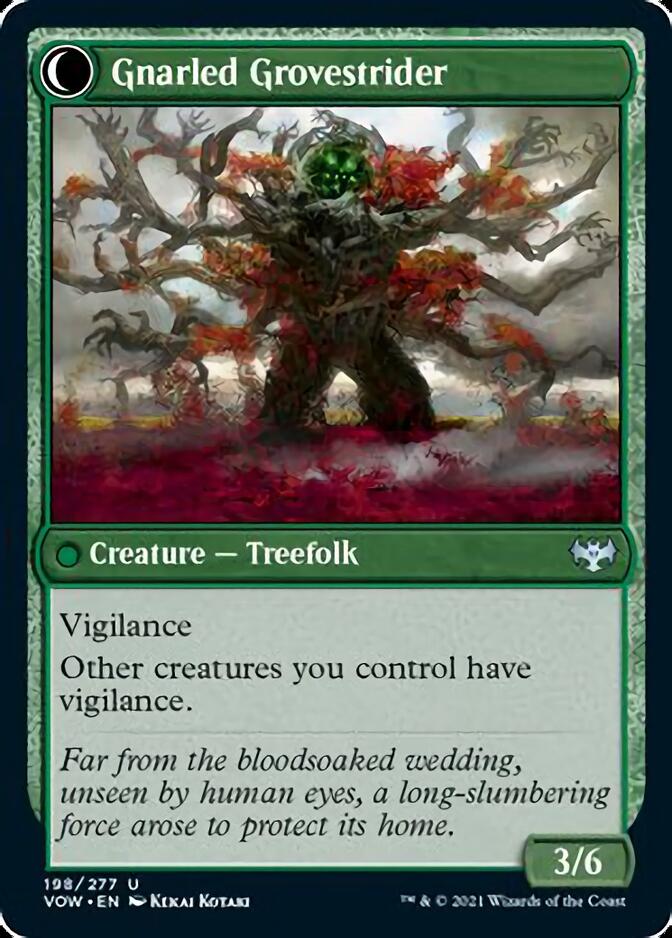 Dormant Grove // Gnarled Grovestrider [Innistrad: Crimson Vow] - The Mythic Store | 24h Order Processing
