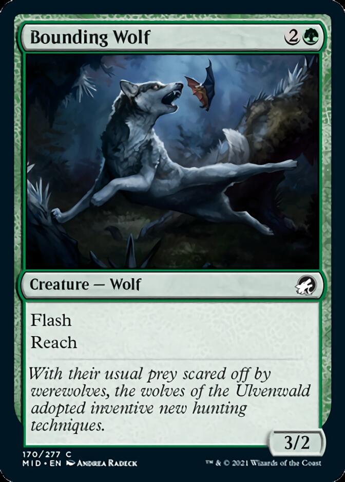 Bounding Wolf [Innistrad: Midnight Hunt] - The Mythic Store | 24h Order Processing