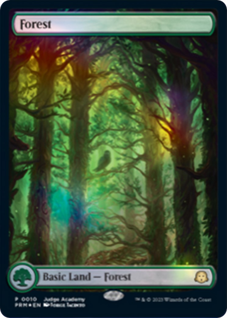 Forest [Judge Gift Cards 2023] - The Mythic Store | 24h Order Processing