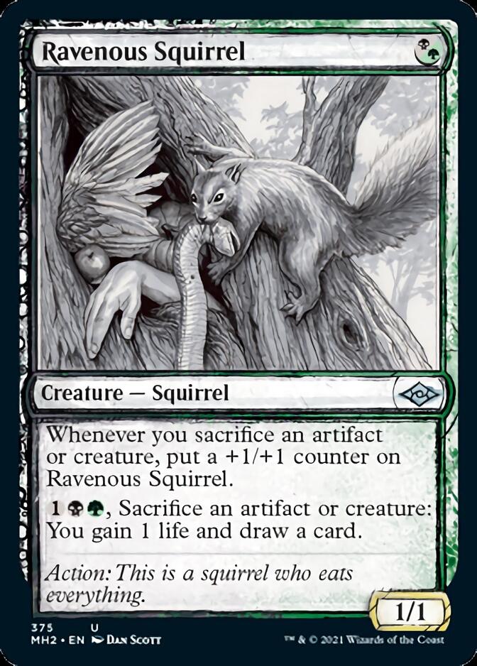 Ravenous Squirrel (Sketch) [Modern Horizons 2] - The Mythic Store | 24h Order Processing