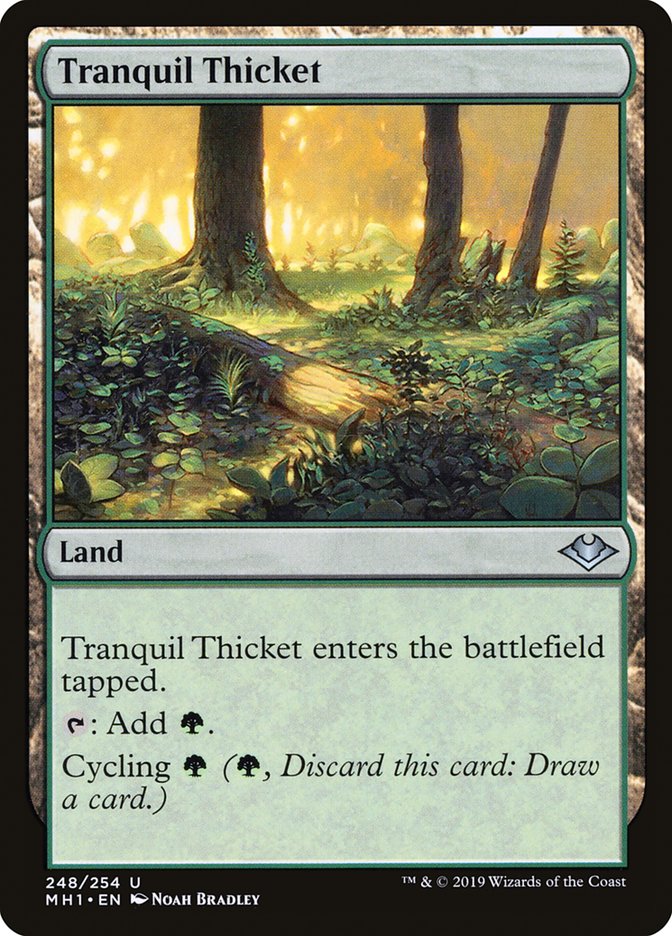 Tranquil Thicket [Modern Horizons] - The Mythic Store | 24h Order Processing