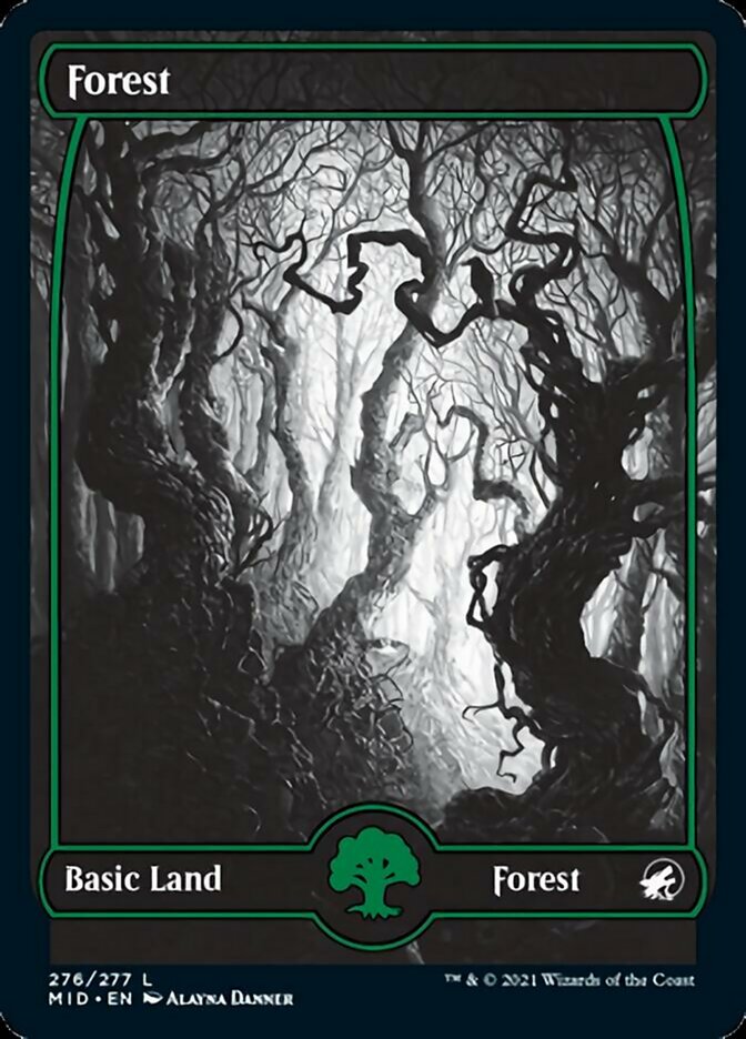 Forest (276) [Innistrad: Midnight Hunt] - The Mythic Store | 24h Order Processing