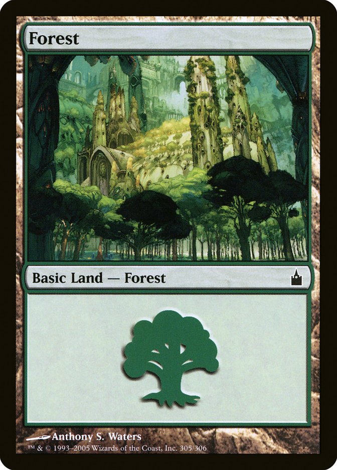 Forest (305) [Ravnica: City of Guilds] - The Mythic Store | 24h Order Processing