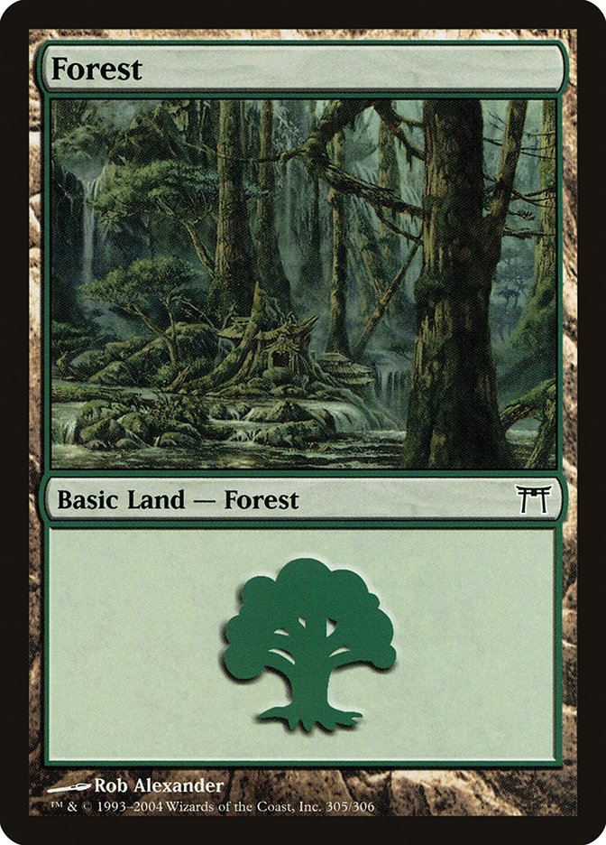 Forest (305) [Champions of Kamigawa] - The Mythic Store | 24h Order Processing
