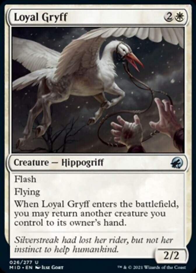 Loyal Gryff [Innistrad: Midnight Hunt] - The Mythic Store | 24h Order Processing