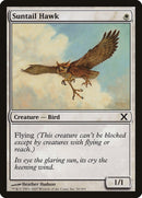 Suntail Hawk [Tenth Edition] - The Mythic Store | 24h Order Processing