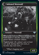 Infestation Expert // Infested Werewolf [Innistrad: Double Feature] - The Mythic Store | 24h Order Processing