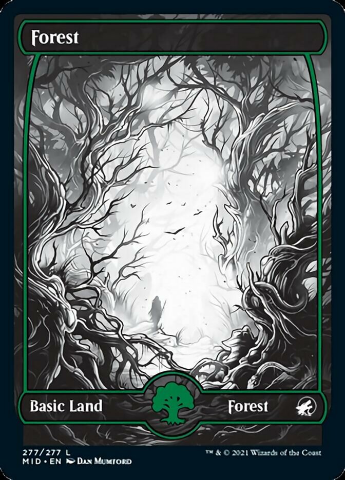 Forest (277) [Innistrad: Midnight Hunt] - The Mythic Store | 24h Order Processing