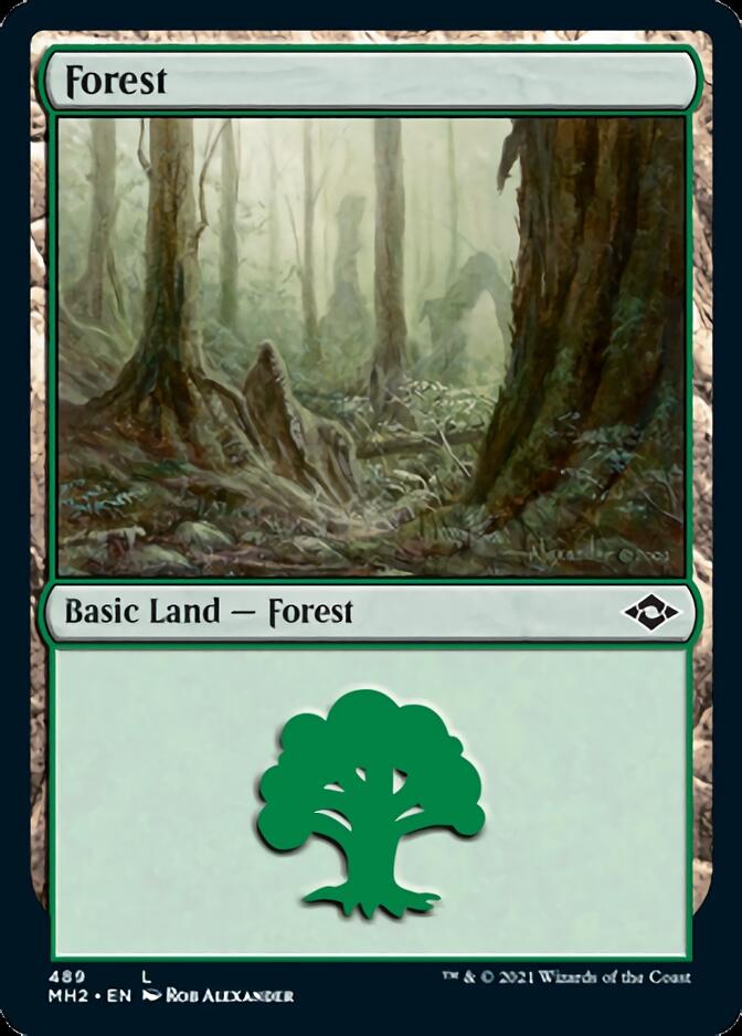 Forest (489) (Foil Etched) [Modern Horizons 2] - The Mythic Store | 24h Order Processing